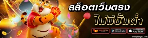 บาคาร่าเว็บตรง